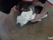 Capri Cavanni porn behind the scenes 15/16