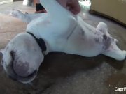 Capri Cavanni porn behind the scenes 16/16