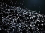 Vipissy - Lexi and Dido Angel 2/16