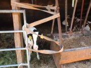 Amateur Outdoor German Grannies 16/16