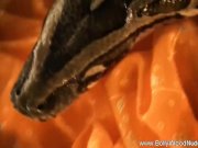 Gorgeous Sexuality On Display From India 16/16