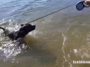 Lexidona - Summer Time 13/16