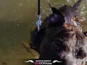 Lexidona - Summer Time 6/16