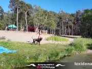 Lexidona - Summer Time 8/16