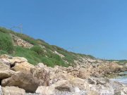 Cute Black Girl Craves Hard White Dick 2/16