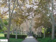 VIXEN_Jillian_Janson_and_Elsa_Jean_Share_Their_Professors_Cock 1/16