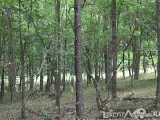 White bitch is on a black dick diet 2/16