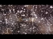 Virtual reality porn with Mag Ray toying her pussy with a black dildo 1/16