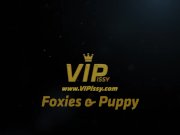 Vipissy - Foxies Puppy - Lesbian Piss 4/16
