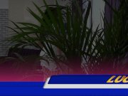 Wetandpuffy - Lustful Lucia - Sex Toys 4/16