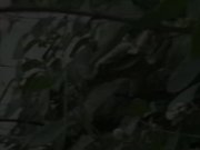 Sexy redhead babe Kattie Gold is out cycling when she feels sudden pee desp 1/16