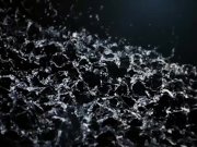 Vipissy - Shrima Chrissy - Piss Drinking Lesbians 1/16