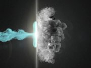 Gorgeous babe Lucy Belle playing with her dildo 1/16