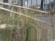 Public Pee - Hot babe relieves pee desperation near railway 15/16