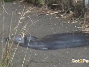 Public Pee - Hot babe relieves pee desperation near railway 16/16