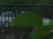 Pee Desperation - Redhead fires piss streams through a railing in public 1/16