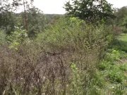 HUNT4K. Handsome hunter successfully pucked up cutie on public beach 10/16