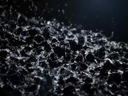 Vipissy - Rough dildo play for filthy piss loving sluts 1/16