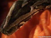 Relaxing In India Is Easy 16/16