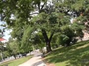 HUNT4K. Submissive cuckold watches slutty GF fucked hard by lover 4/16