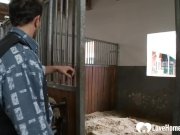 Cutie fingers herself while being fucked mercilessly 1/16