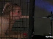 Compilation Cornucopia Of Carnal Delights 7/16