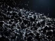 Lesbian Pissing For Hot Angels 1/16