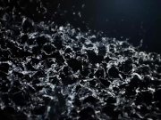 Teen Lesbians Get Nasty With Piss 2/16