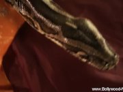 Dancer From India So Sensual 16/16