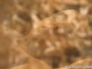 Beautiful Sensual And Exotic 11/16