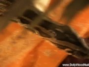 Beauty Lay Down With Me 15/16