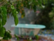 See how sexy Nicole Aniston as she bath in an outdoor tub totally naked 1/16