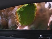 GIRLS GONE WILD - Young Latina Penelope White Bounces Her Big Ass & Orgasms 9/16