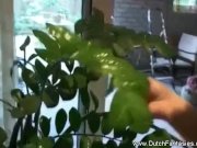 Skinny Tits Dutch Babe Fucked Rough 1/16