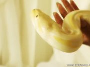 Indian Girlfriend Being Naked 11/16