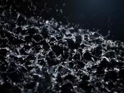 Pissing Lesbians Share Vibrator 2/16