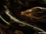 Enticing Erotic Dancer From India 14/16