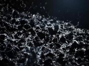 Pee Fun With Amanda Hill and Jesica Bell 1/16