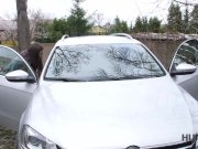 HUNT4K. Couple has no money for car so why teen redhead undresses 2/16