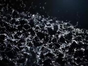 Lesbians Skip The Party For Piss Play! 2/16