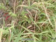 HUNT4K. Man with camera pays enough to satisfy all his dirty needs 12/16