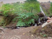 Yanks Tasty Luscious Sexy MILF Masturbating 3/16