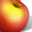 billbido